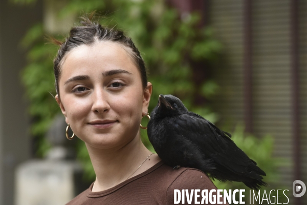 Animal. Sauvetage d une jeune corneille trouvée seule et bléssée. Crow bird rescue