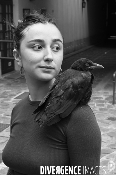 Animal. Sauvetage d une jeune corneille trouvée seule et bléssée. Crow bird rescue