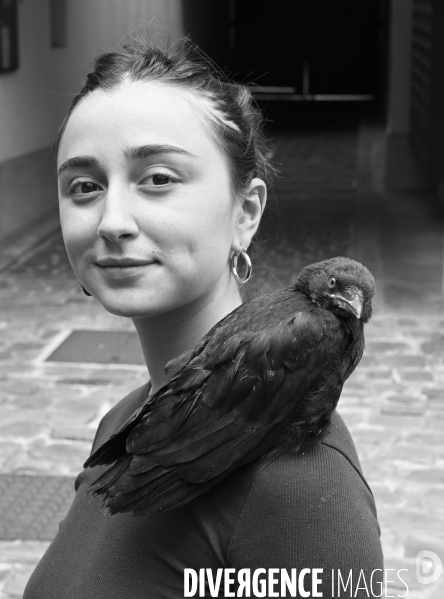 Animal. Sauvetage d une jeune corneille trouvée seule et bléssée. Crow bird rescue