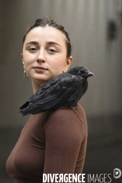 Animal. Sauvetage d une jeune corneille trouvée seule et bléssée. Crow bird rescue