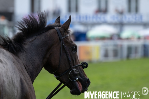 Derby d Epsom. Jubilé de la reine Elizabeth II.