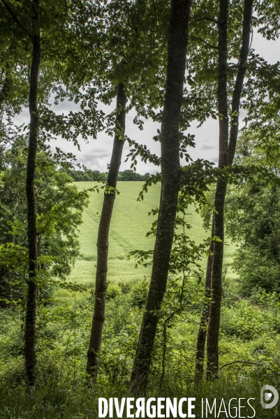 Illustrations Loire et Nièvre