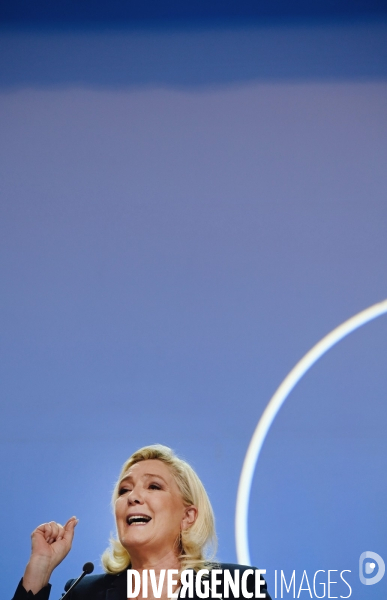 Elections législatives 2022 / Le Rassemblement national