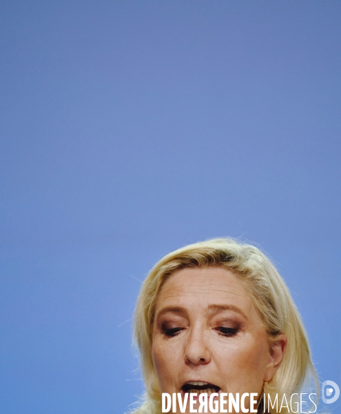 Elections législatives 2022 / Le Rassemblement national