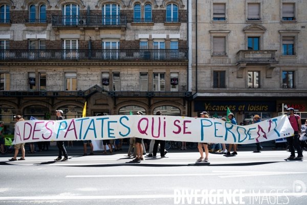 Manifestation contre l Organisation Mondiale du Commerce (OMC)