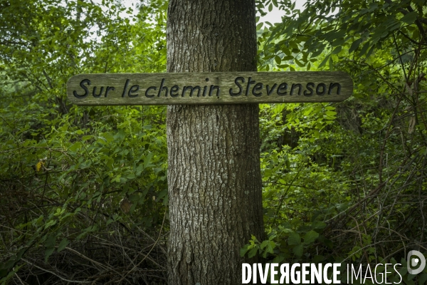 Sur le chemin de Stevenson