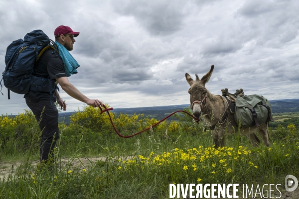 Sur le chemin de Stevenson