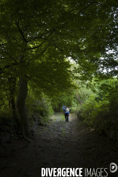 Sur le chemin de Stevenson