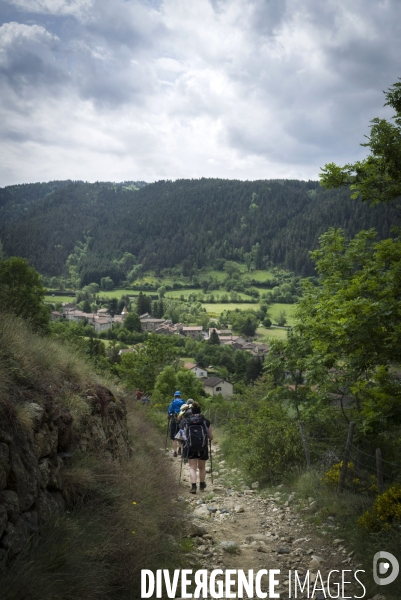Sur le chemin de Stevenson