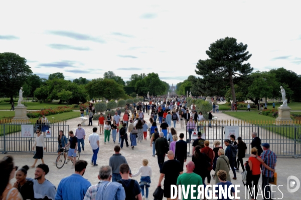 Le Jardin des Tuileries