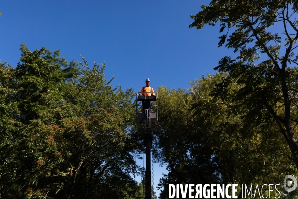 Chantier de réhabilitation d un ouvrage d art