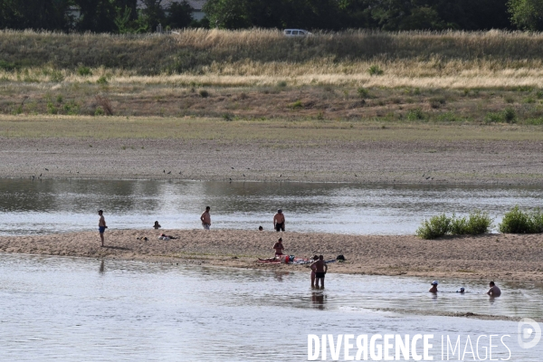 Canicule sur les bords de Loire à Amboise