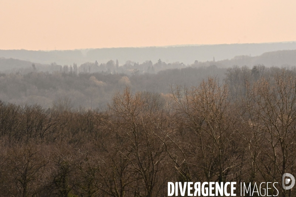 Des chênes centenaires, des forêts du Perche, pour reconstruire Notre-Dame de Paris