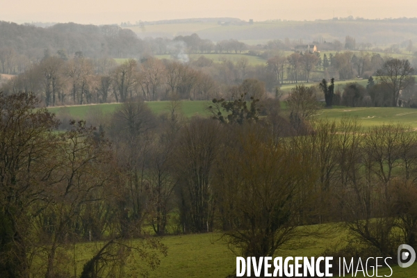 Des chênes centenaires, des forêts du Perche, pour reconstruire Notre-Dame de Paris