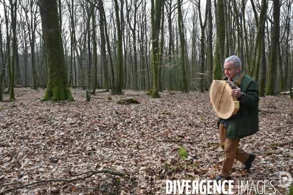 Des chênes centenaires, des forêts du Perche, pour reconstruire Notre-Dame de Paris