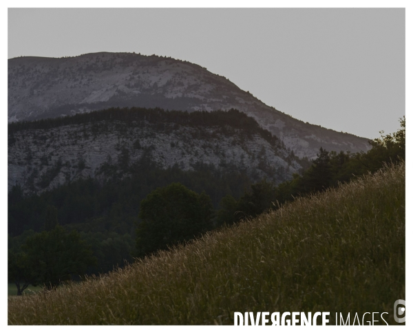 Le long de la Transbassealpine Digne-Nice ( la montée à l estive )