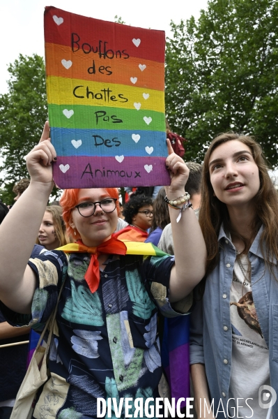 Gay pride 2022, la Marche des fiertés. Portraits