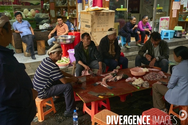 Chine, la minorité dong de Zhaoxing face au tourisme