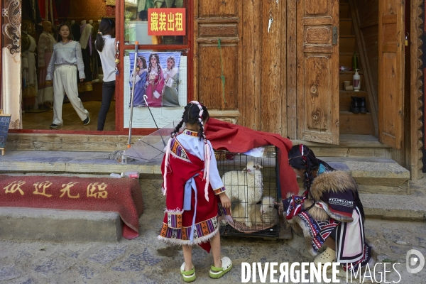 Shangri La , le carnaval permanent.