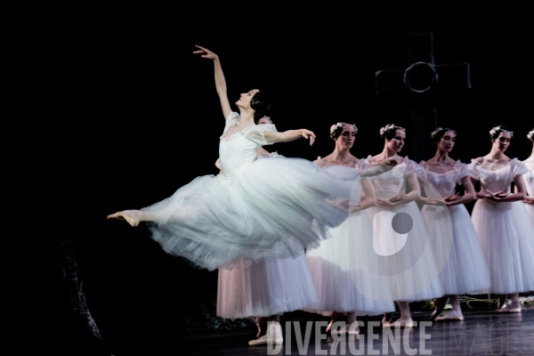 Giselle / Jean Coralli, Jules Perrot / Ballet de l Opéra national de Paris