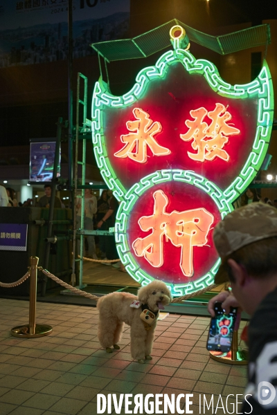 Les défenseurs  des  néons de Hong Kong