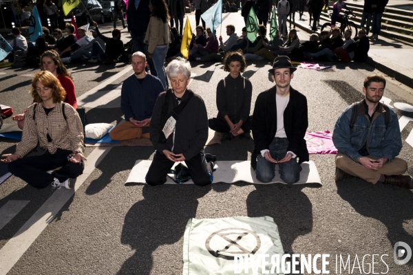 France - extinction rebellion - paris - climate action