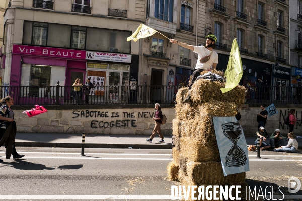 France - extinction rebellion - paris - climate action