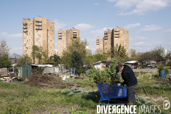 Fra - shared gardens - olympic games