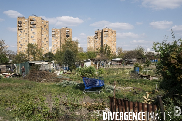 Fra - shared gardens - olympic games