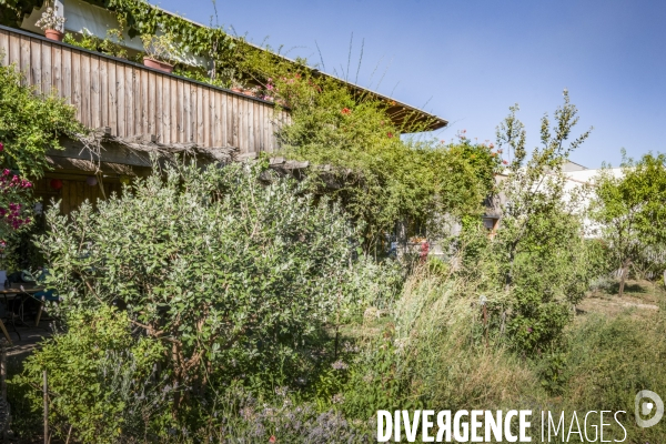 Bien Vieillir en Habitat ecologique et participatif