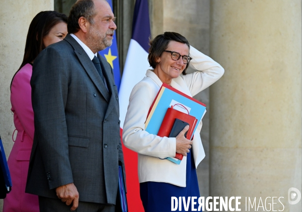 Agnès Firmin Le Bodo