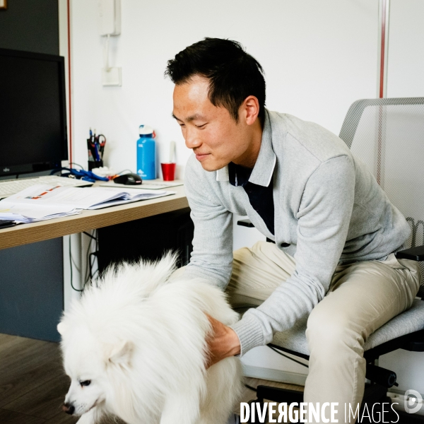 Animaux de compagnie au travail