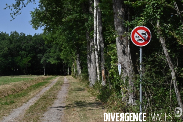 Entretien des forêts de sologne pour éviter les risques d incendie