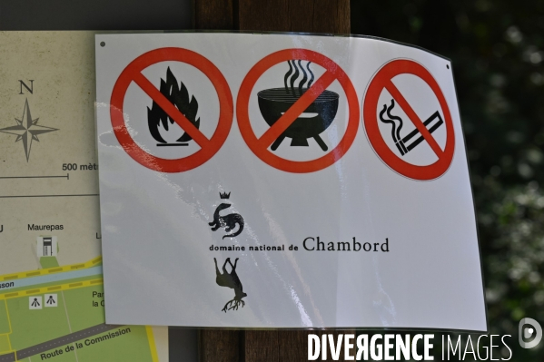 Entretien des forêts de sologne pour éviter les risques d incendie