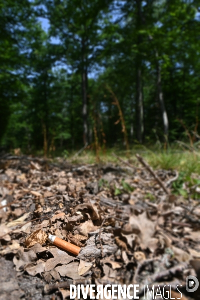 Entretien des forêts de sologne pour éviter les risques d incendie