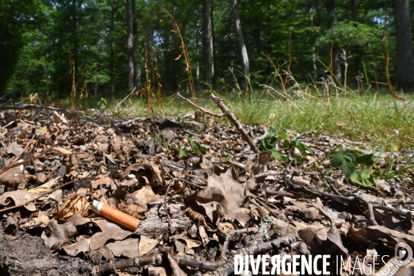 Entretien des forêts de sologne pour éviter les risques d incendie