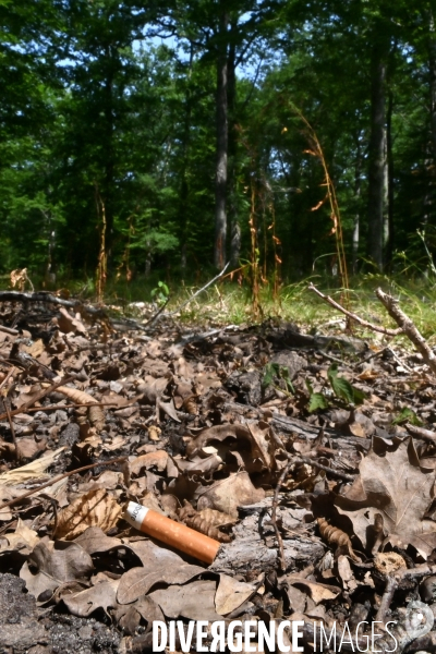 Entretien des forêts de sologne pour éviter les risques d incendie