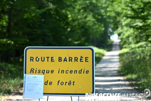 Chemins forestiers interdits à la circulation dans le Loir-et-Cher