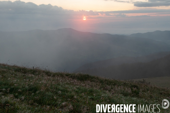 Faune et paysage des Vosges - Fauna and landscape of the Vosges