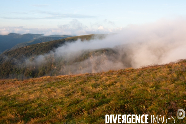 Faune et paysage des Vosges - Fauna and landscape of the Vosges