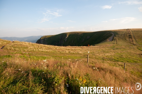 Faune et paysage des Vosges - Fauna and landscape of the Vosges