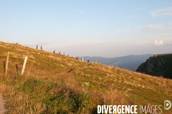 Faune et paysage des Vosges - Fauna and landscape of the Vosges