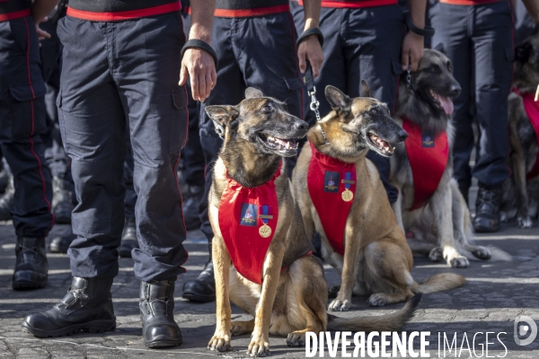 14 juillet 2022 - célébration et défilé sur les Champs-Elysées