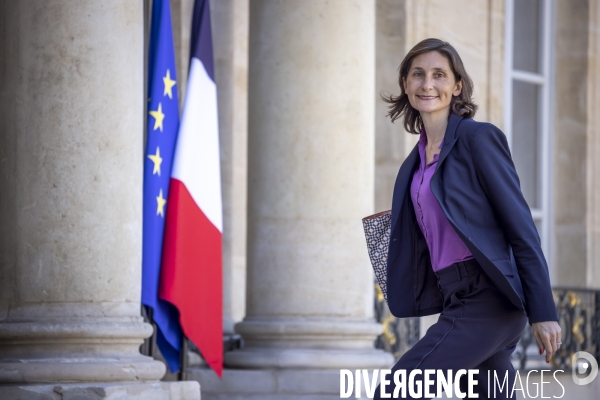 Premier Conseil des ministres Borne II et photo du gouvernement