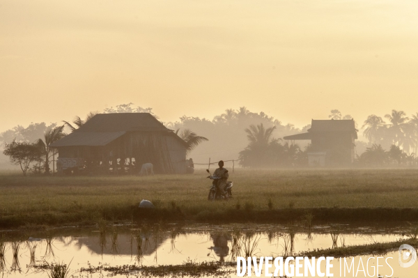 Cambodge - Cambodia