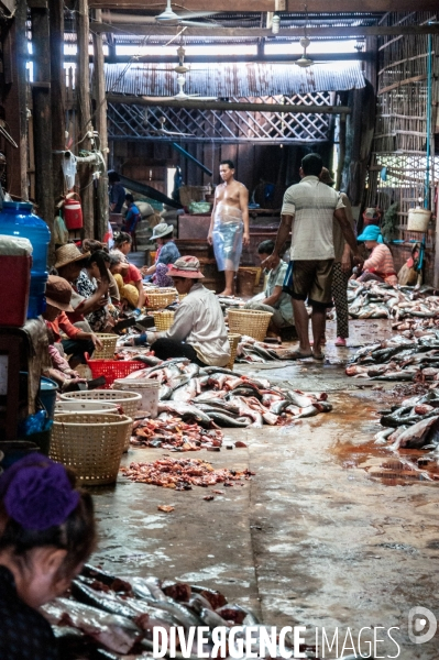 Cambodge - Cambodia