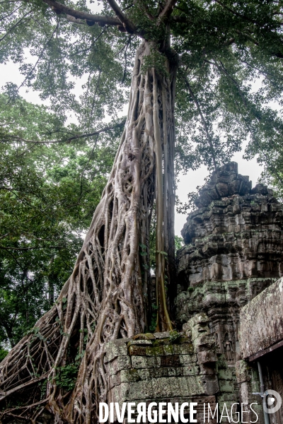 Cambodge - Cambodia