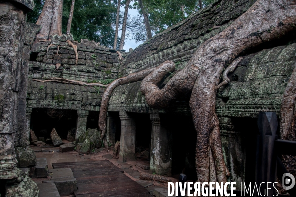 Cambodge - Cambodia