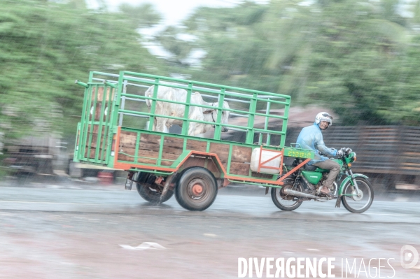 Cambodge - Cambodia