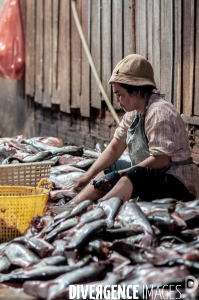 Cambodge - Cambodia